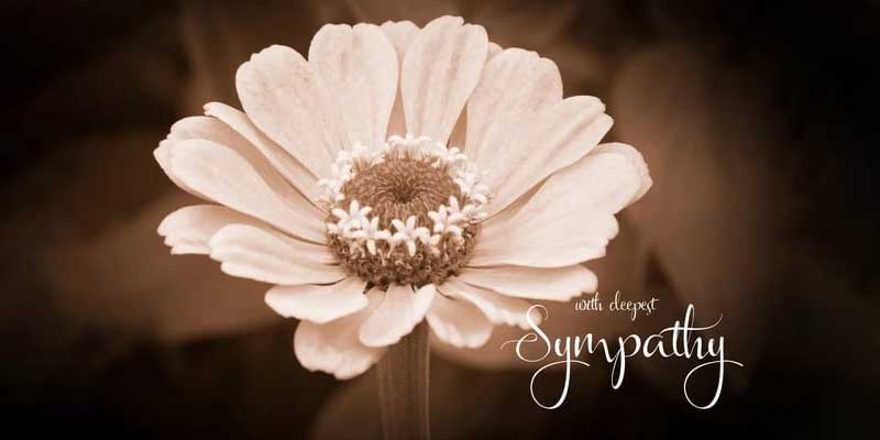 sympathy header image
